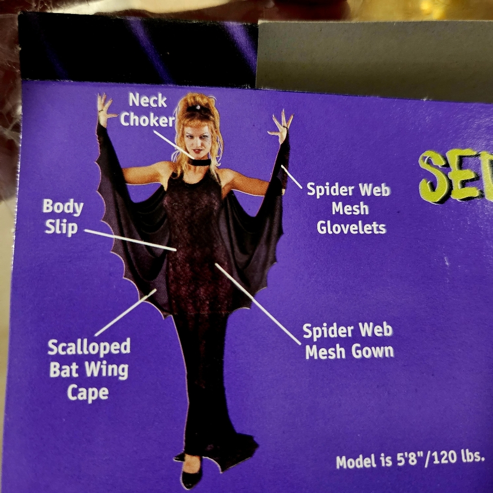 SEDUCTRESS OF THE WEB Adult Costume, Gothic Black, Lacy & Super Sexy! Sz… - Picture 8 of 10